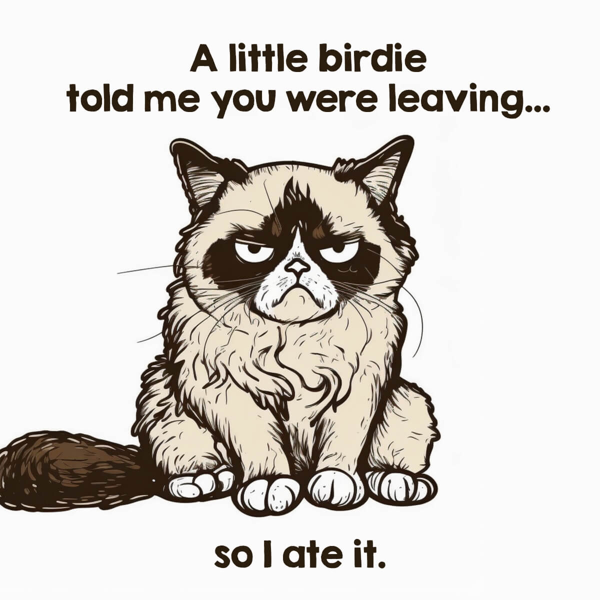 Card Grumpy Cat