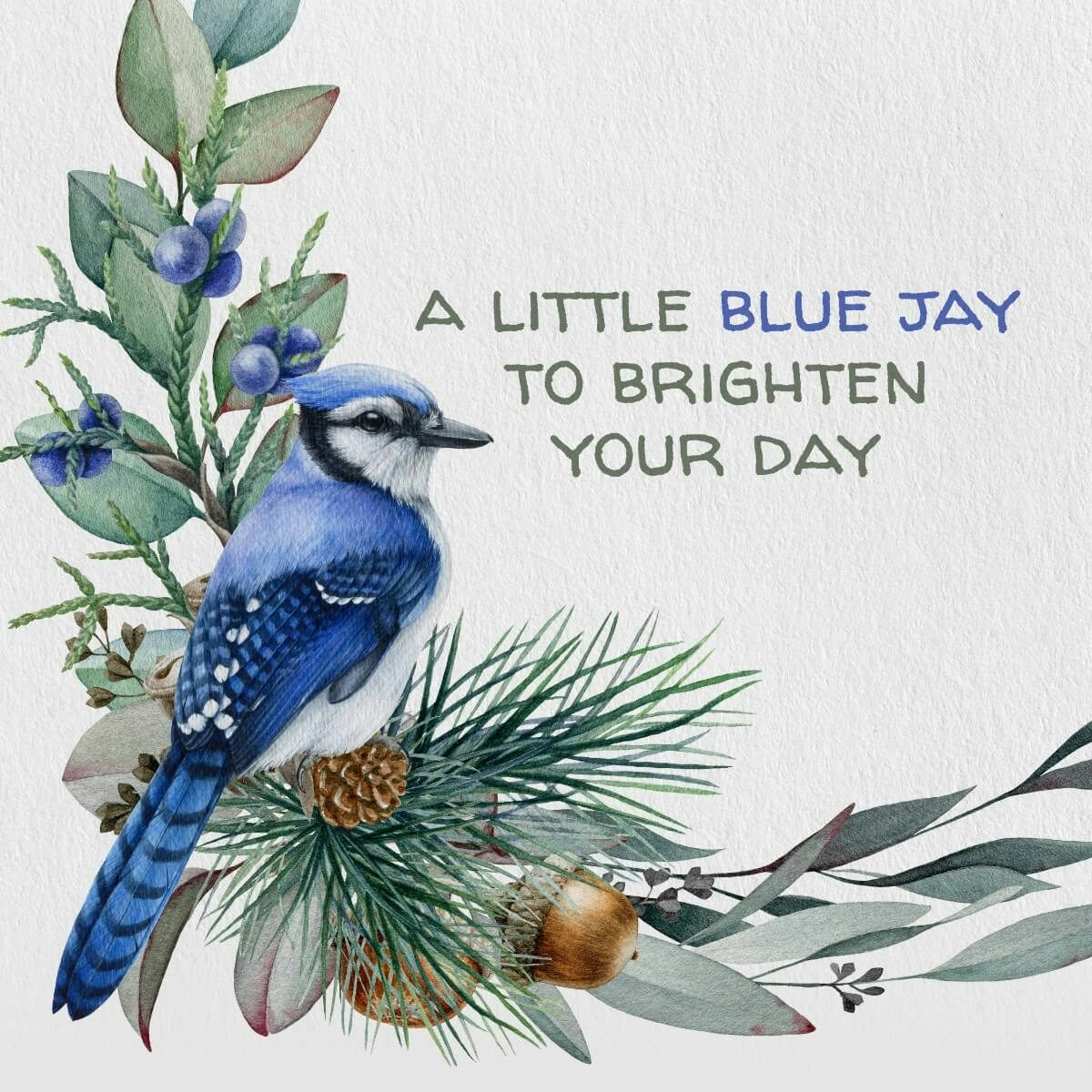 Card Blue Jay to Brighten Your Day