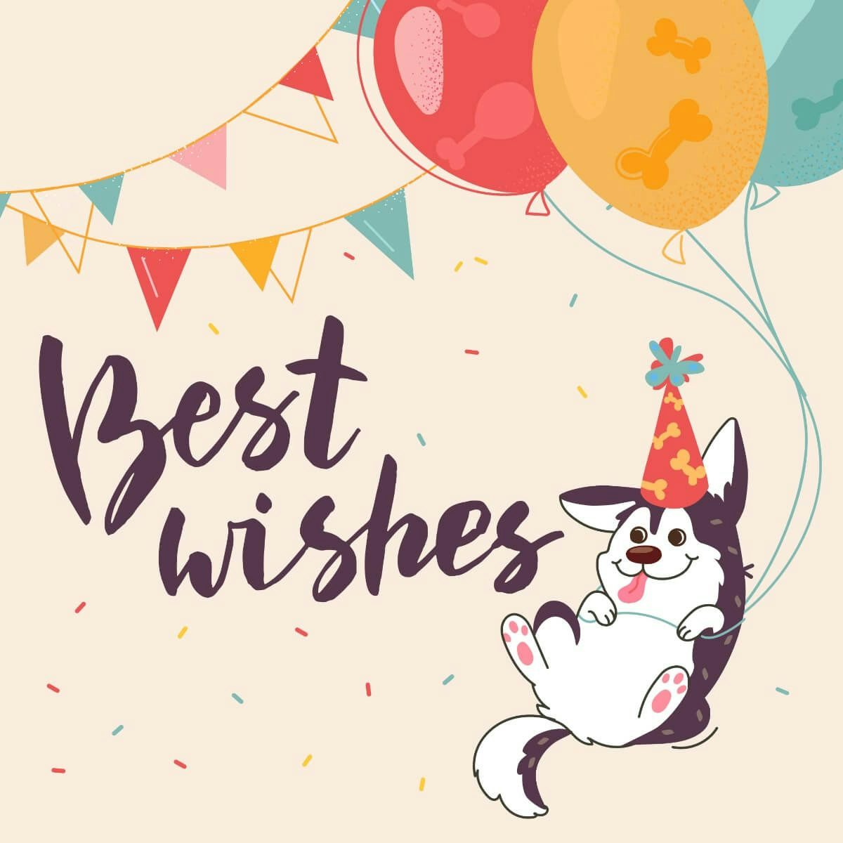 Card Best wishes - party dog