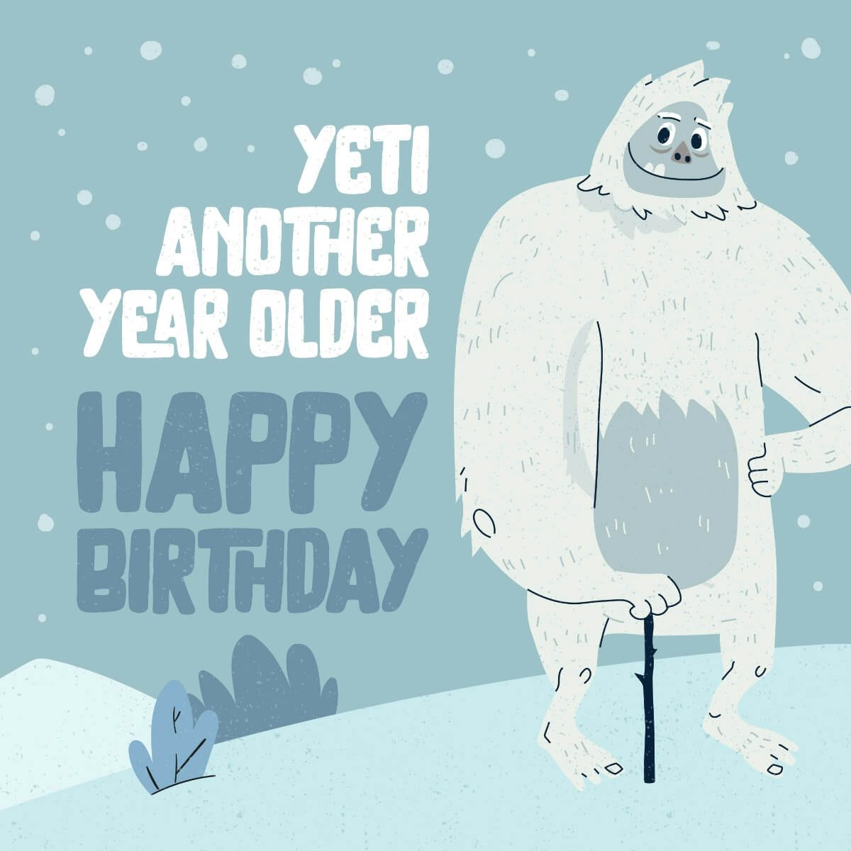 Card Yeti Another Year